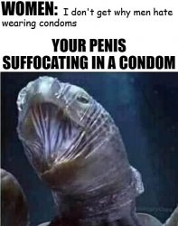 Penis Suffocating In A Condom Meme Template