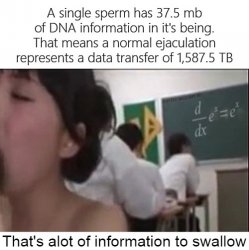 Alot Of Information To Swallow Data Transfer Meme Template