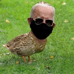 Joe Bidenduck Black Mask N Sunglasses Meme Template