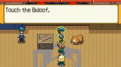 Touch the Bidoof. Meme Template