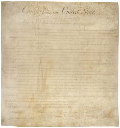 The Bill of Rights Meme Template