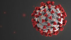 Corona Virus Meme Template