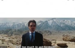 Tony Stark Is It To Much To Ask For Both Meme Template