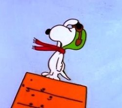 Snoopy Salute Meme Template