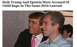 Trump Epstein Meme Template