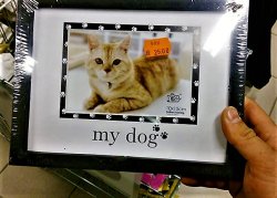 Picture frame with cat as my dog Meme Template