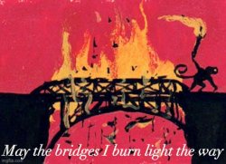 May the bridges I burn light the way Meme Template