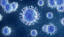 Coronavirus Meme Template