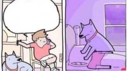 Dog smothering owner Meme Template