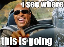Stevie wonder driving I see where this is going Meme Template