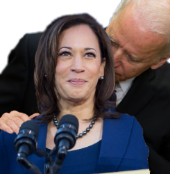 Joe Biden and Kamala Hairs Meme Template