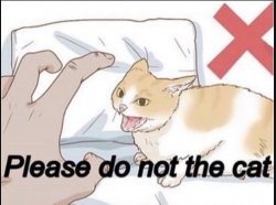 Please do not the cat Meme Template