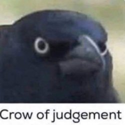 Crow of judgement Meme Template