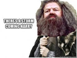 Hagrid Meme Template