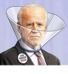 Biden Bite Collar Meme Template