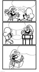 Luigi's Diary Meme Template