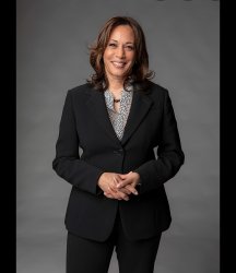 Kamala Harris Meme Template