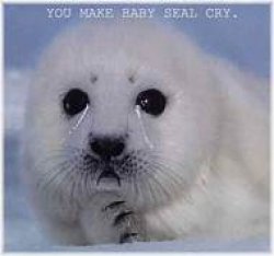 crying seal Meme Template