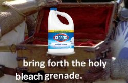 Bring forth the holy bleach grenade Meme Template