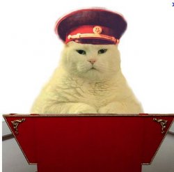 Commie Cat Meme Template