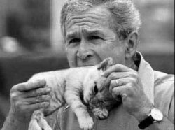 George Bush Eating Pussy Til Orgasims In Case I Nut Quick Meme Template
