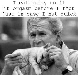 George Bush Eating Pussy Til Orgasms In Case I Nut Quick Meme Template