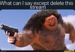 what can i say except delete this stream Meme Template