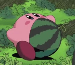 Kirby Melon Meme Template