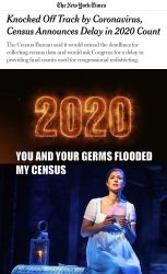 Watch 2020 Census Burn Meme Template