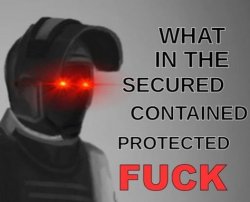 What in the Secured Contained Protected FUCK Meme Template