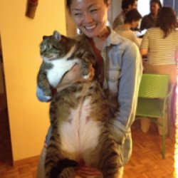 Fatty Cat Meme Template
