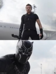 Black Panther I don’t care Meme Template