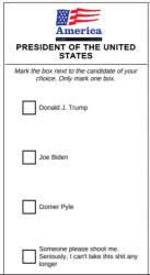 2020 Presidential Ballot Meme Template