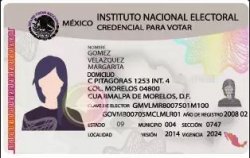 Mexican voter ID Meme Template