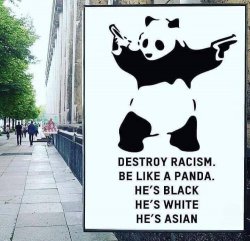 Destroy Racism Panda Meme Template