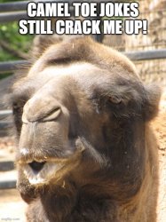 Camel Toe Meme Template