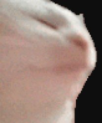 catjam Meme Template