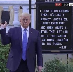 grab them by the pussy Meme Template