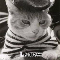 Le mow Meme Template