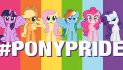 Mlp Pony Pride Meme Template