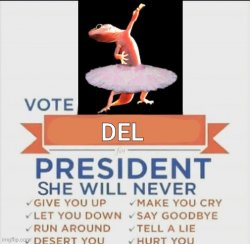 vote del for president rickroll Meme Template