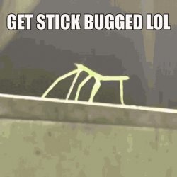 Stick bugged Meme Template