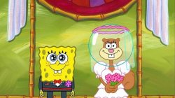 Spongebob Wedding Meme Template
