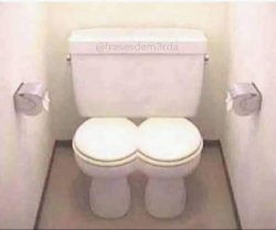 Joint Combined Toilet for Married Couples Meme Template