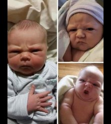 Angry Baby Meme Template