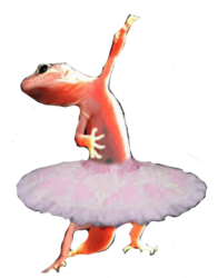 Lizard Ballet (transparent) Meme Template