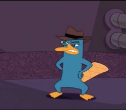 Perry the Platypus Weird Look Meme Template