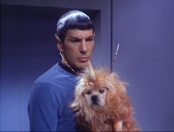 Spock and the space dog Meme Template