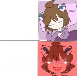 sleeping catoun Meme Template