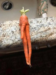 Carrot Porn Meme Template